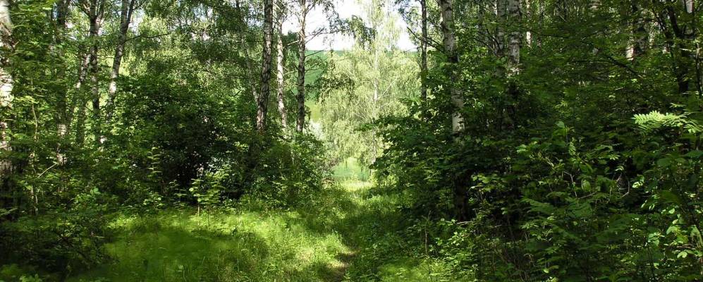 
            Фотография Шерстино