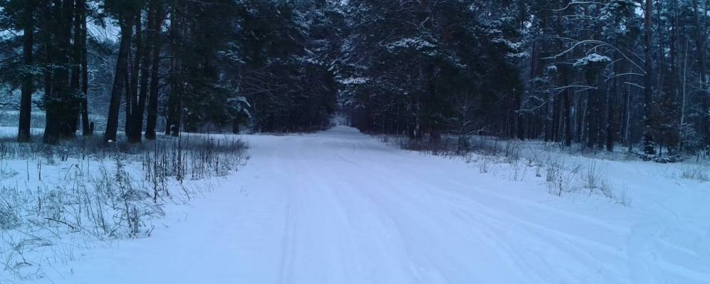 
            Фотография Пустой Гребли