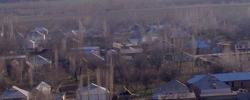 
            Фотография Кереита