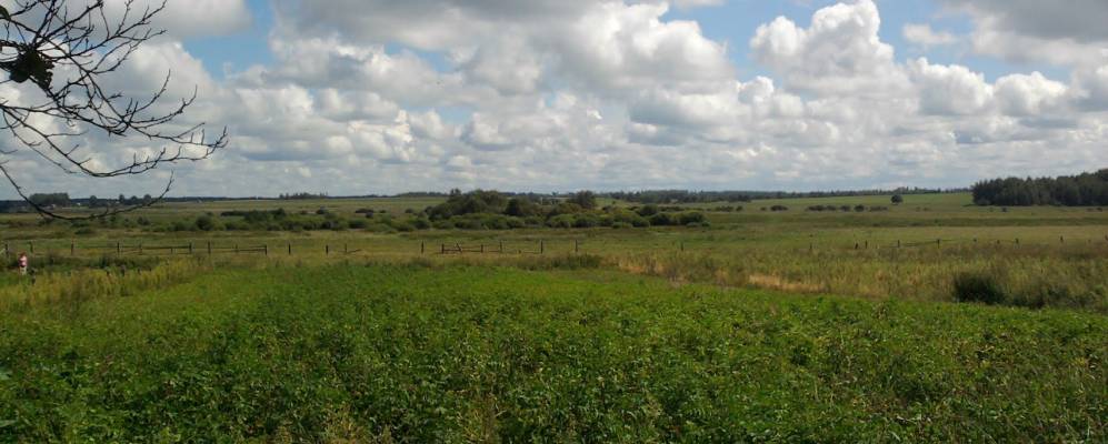 Фотография деревни Орешковичи