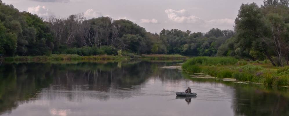 
            Фотография Долгого