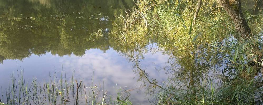 
            Фотография Колосовки