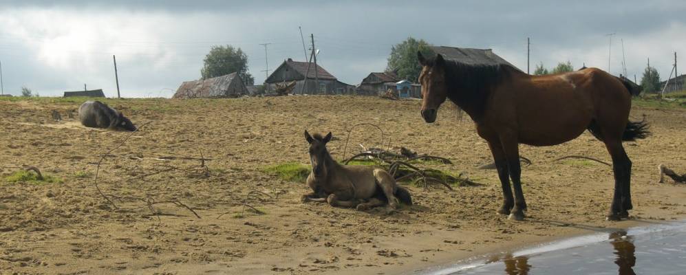 
            Фотография Усть-Косы