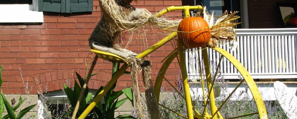 
            Фотография Либаноно