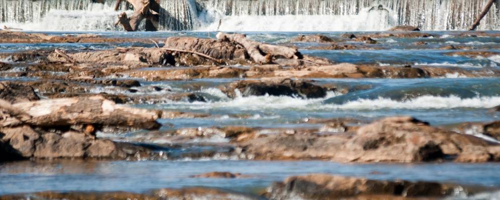 
            Фотография Ранло