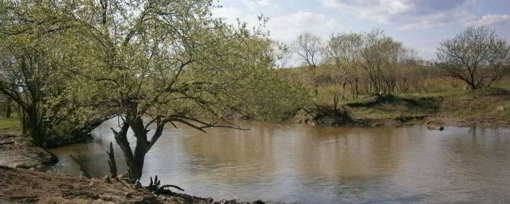 
            Фотография Поспеловки