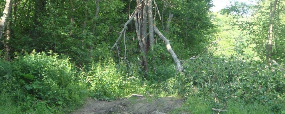 
            Фотография Гнилища