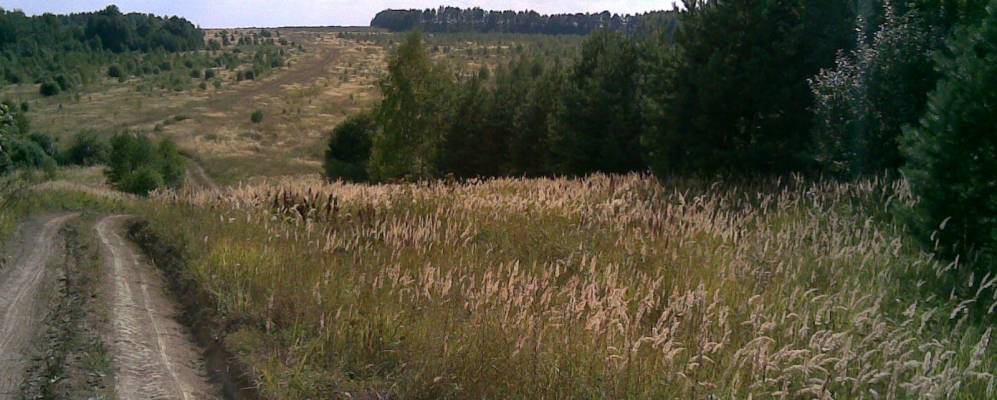 
            Фотография Яза