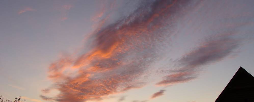 
            Фотография Пшеницыно