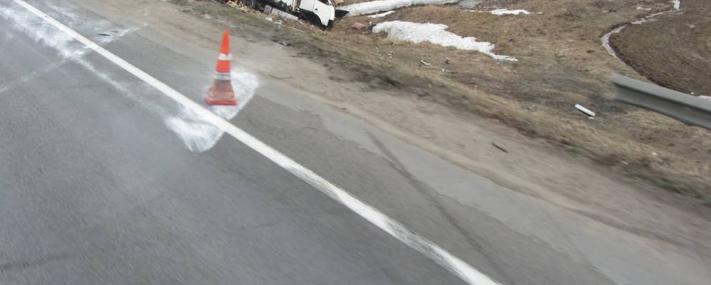 
            Фотография Полевой