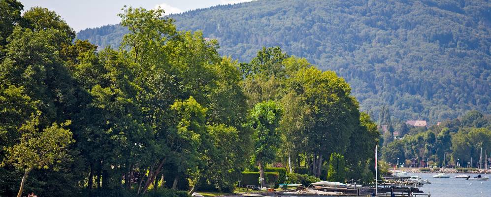 
            Фотография Анти