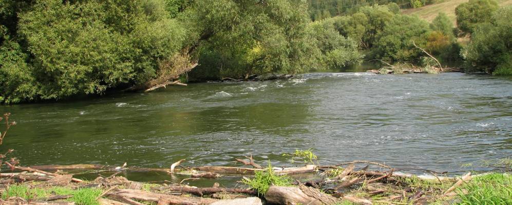 
            Фотография Дорогонки