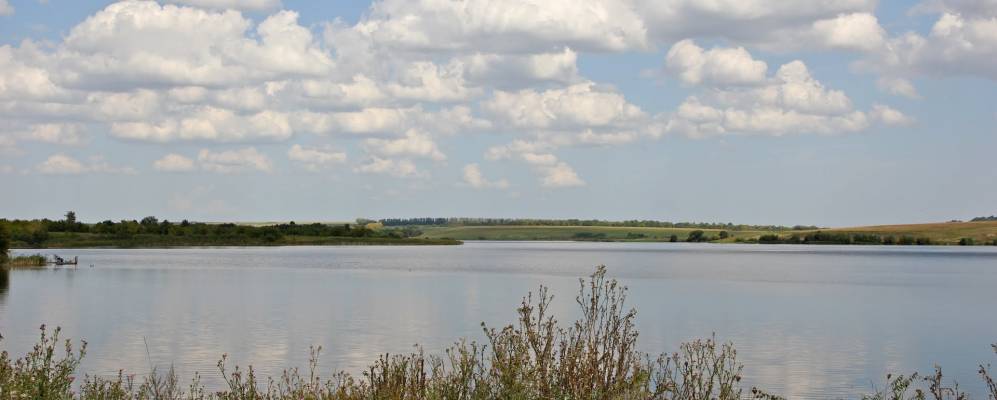 Фотография Боровки