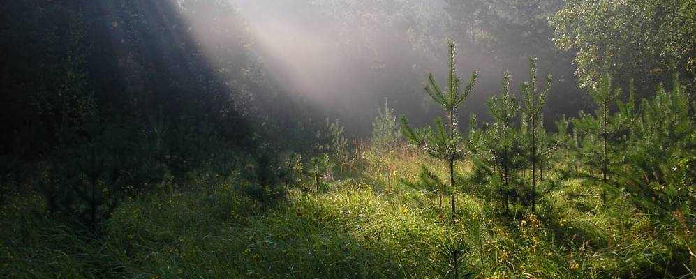 
            Фотография Крутца