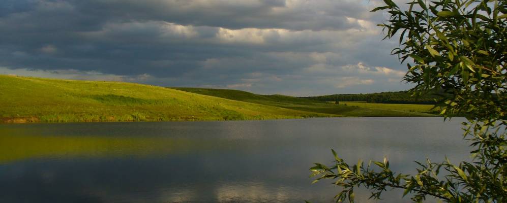 
            Фотография Бортники