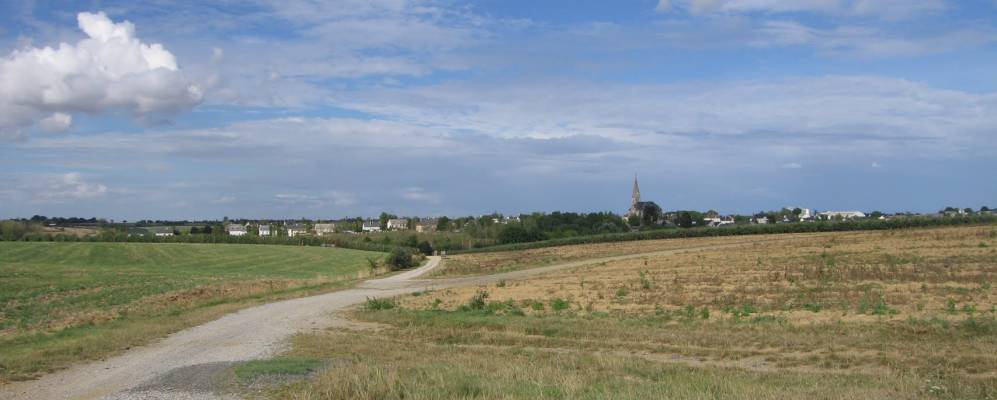 
            Фотография Белиня