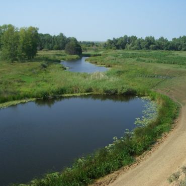 Черноярово