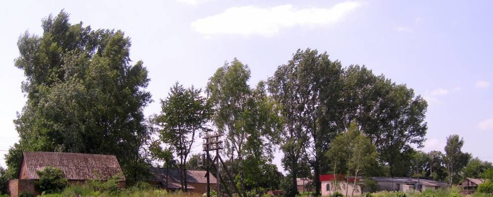 
            Фотография Пустомыт