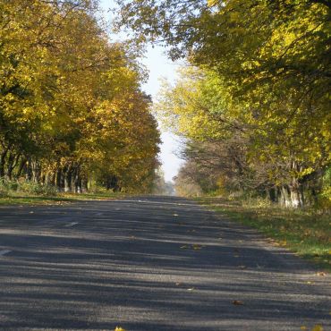 Катеринополь