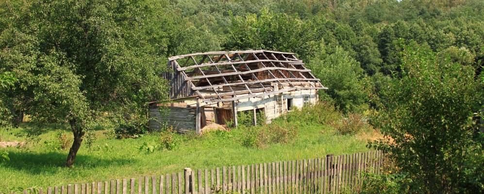 
            Фотография Барвинково