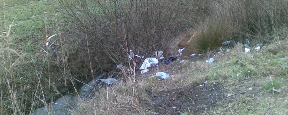 
            Фотография Меоло