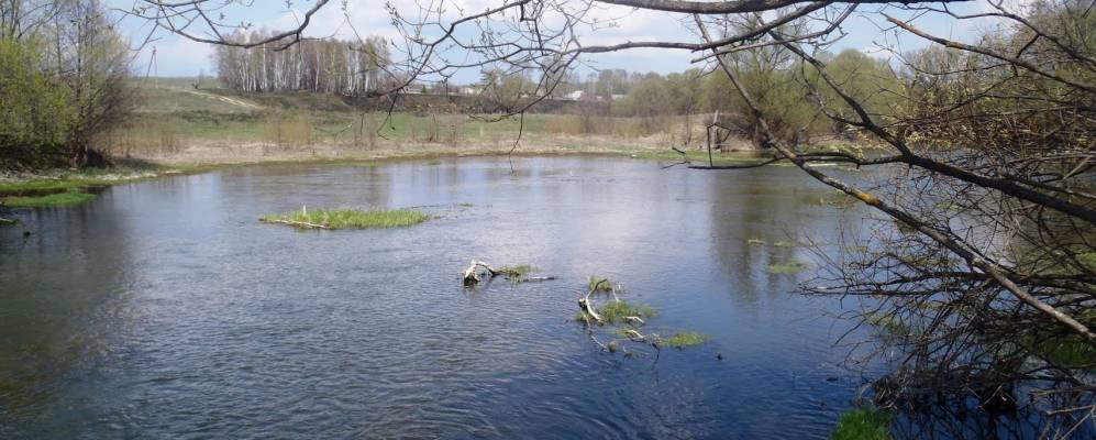 
            Фотография Привалово