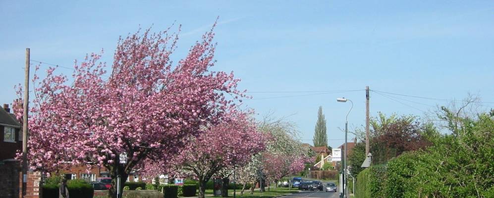 
            Фотография Копманторпа