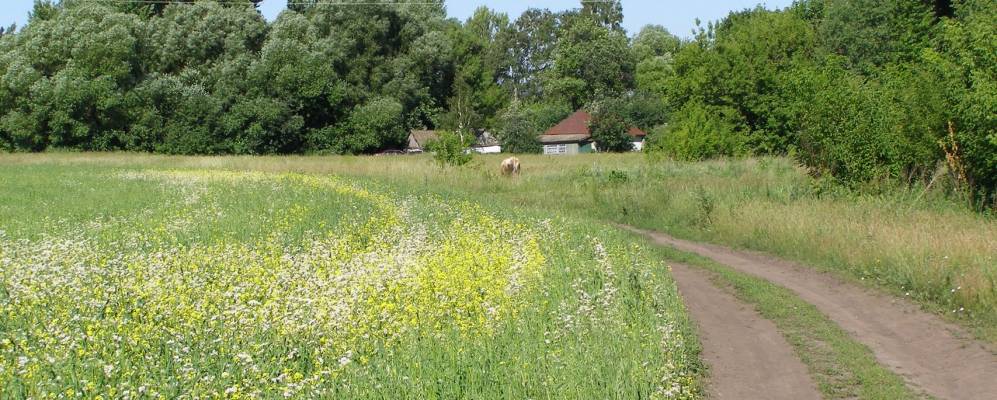 
            Фотография Красного