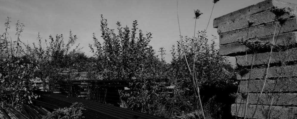 
            Фотография Йиркова