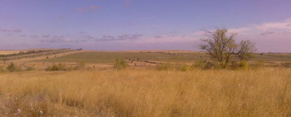 
            Фотография Студеновки