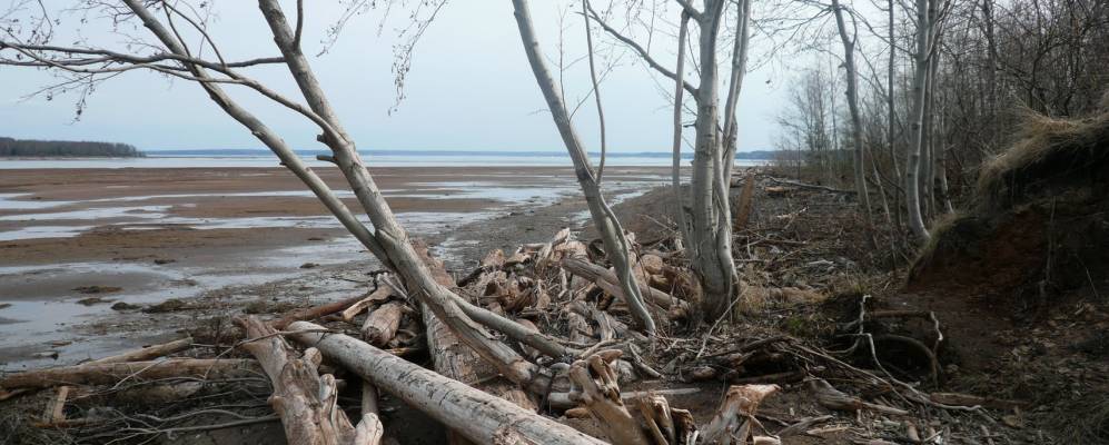 Фотография Петрова