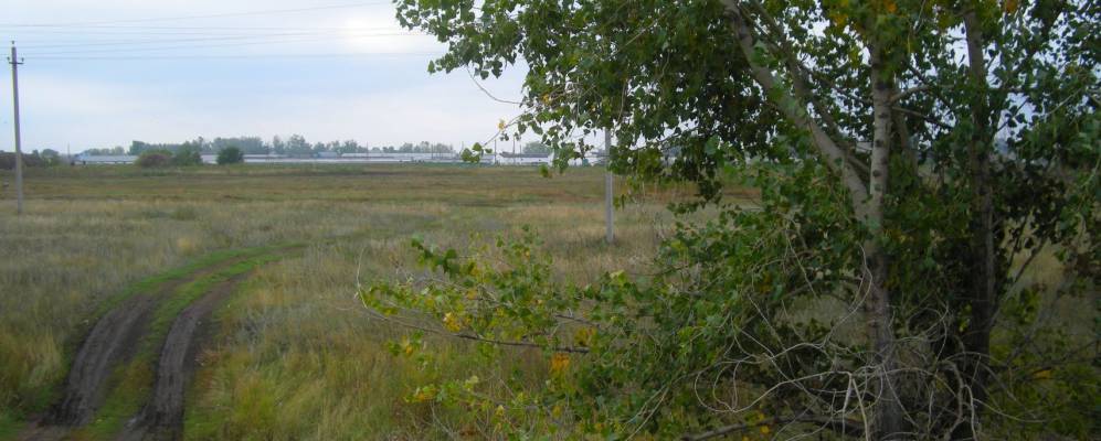 
            Фотография Приуральского