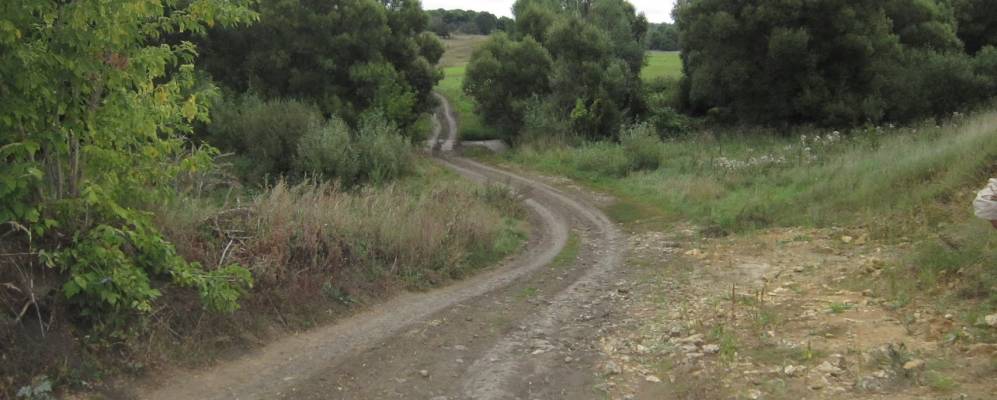 
            Фотография Новиков