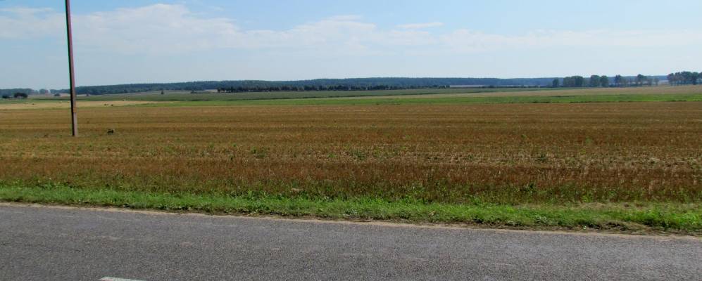 
            Фотография Фербовщины