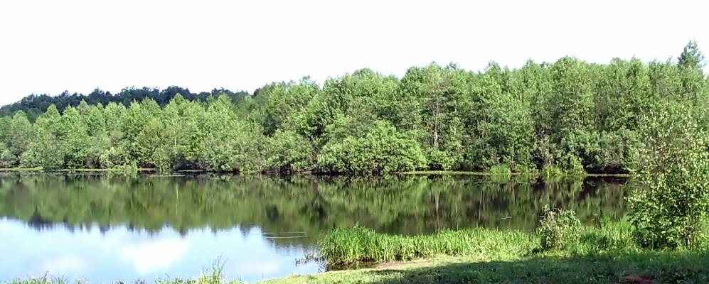 
            Фотография Ширшово