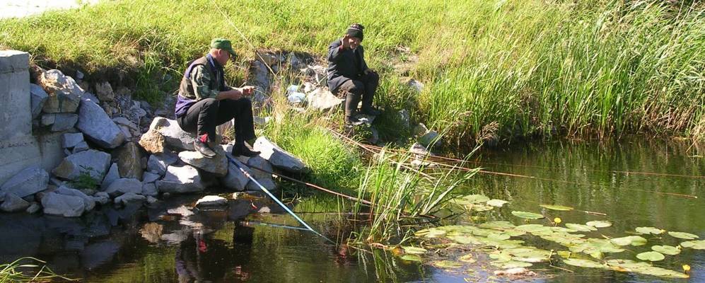 
            Фотография Белки