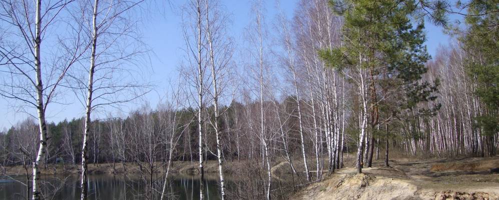 
            Фотография Полевской Гуты