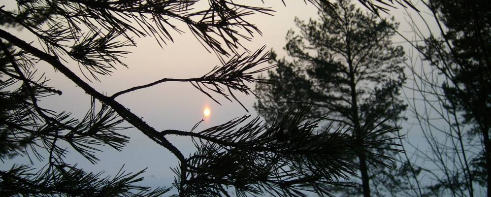 
            Фотография Ирнура