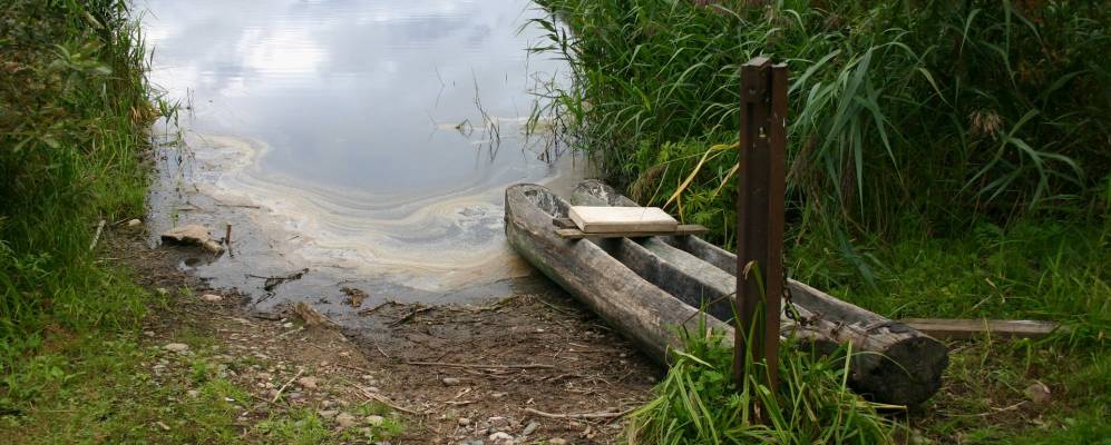 Фотография Воронихи