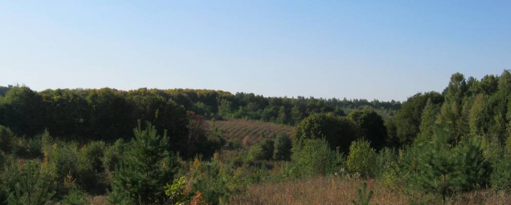 
            Фотография Тесы