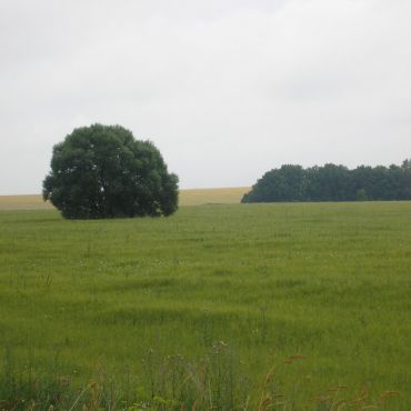 Нижний Теребуж