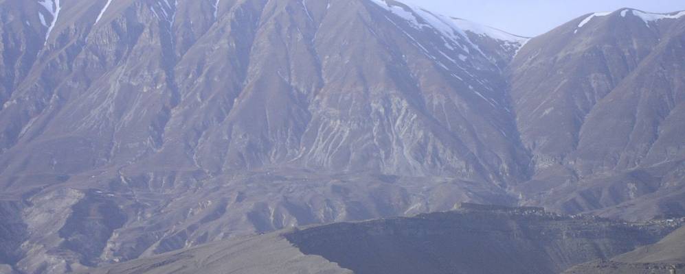 
            Фотография Шивора