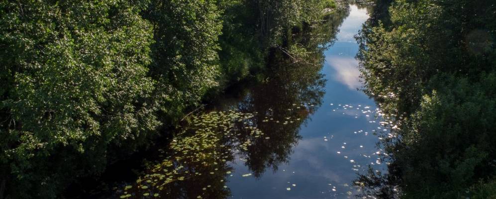 
            Фотография Лаврово