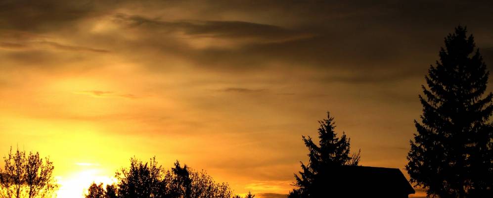 
            Фотография Криничек