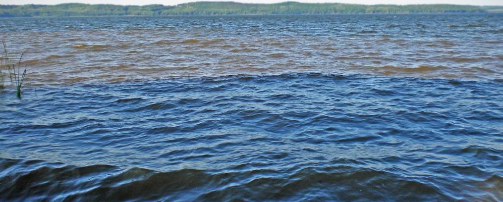 
            Фотография Бадряша