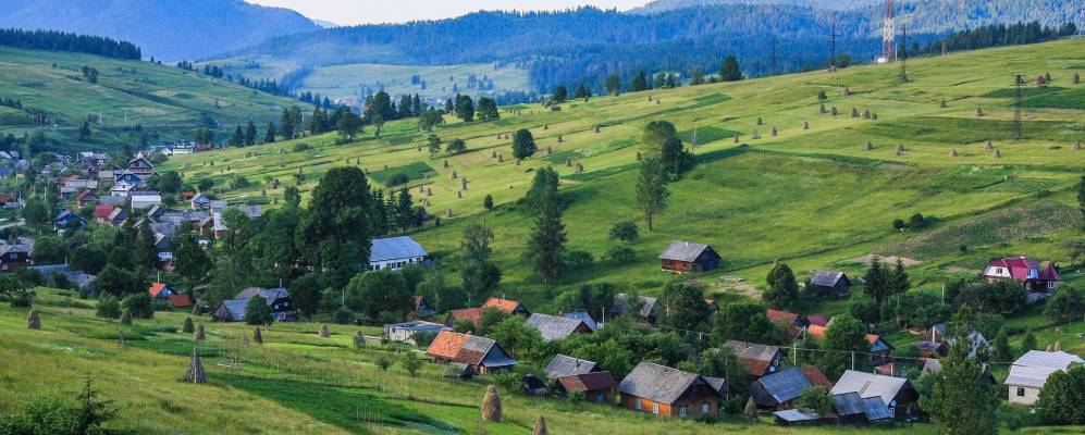 
            Фотография Опорца