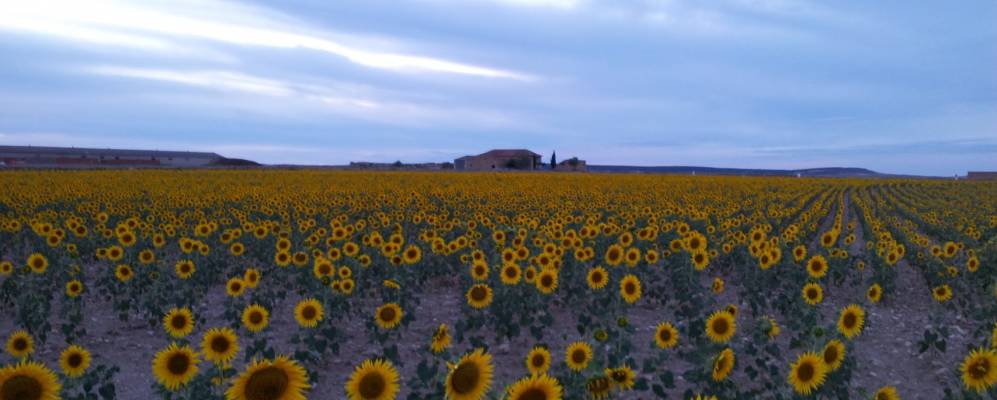 Фотография Бельо