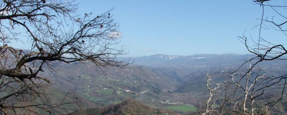 
            Фотография Martirano