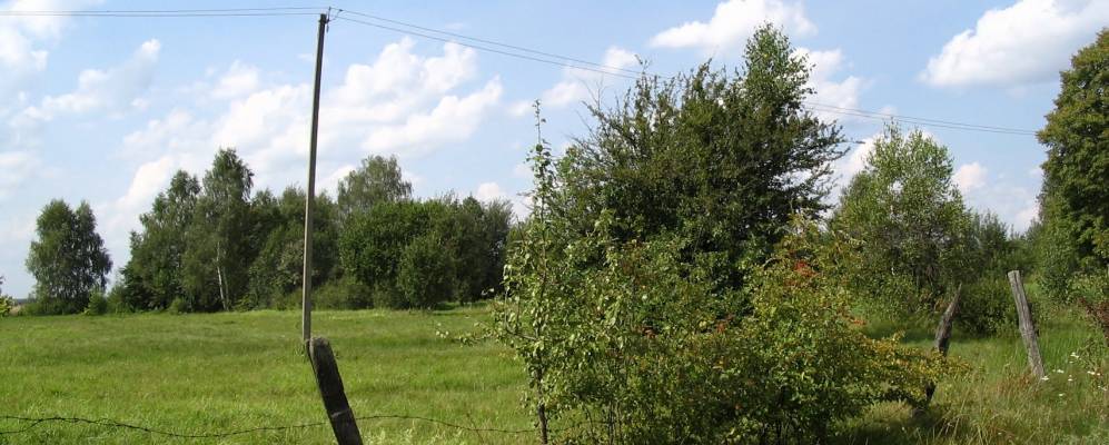 
            Фотография Кулявы