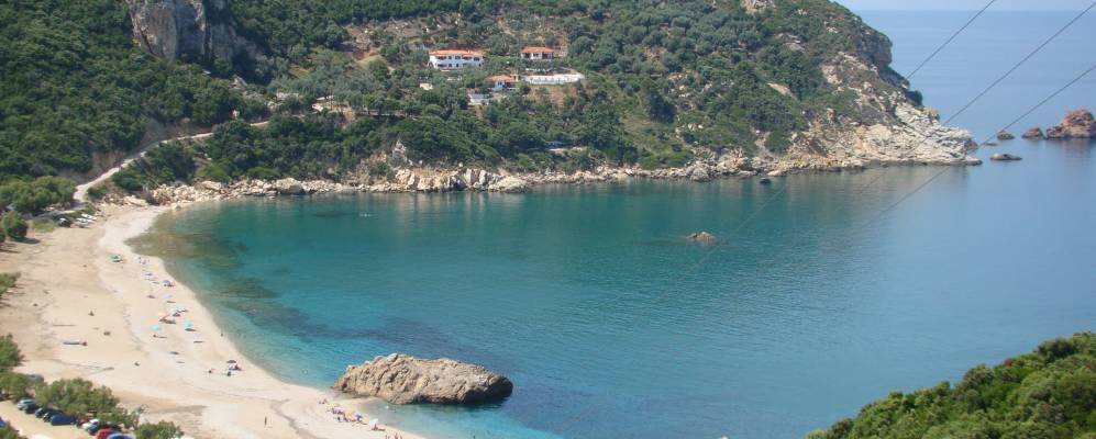 
            Фотография Палтси Пилиона